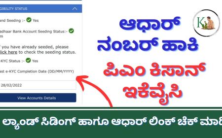 Pmkisan-ಆಧಾರ್ ನಂಬರ್ ಹಾಕಿ ಪಿಎಂ ಕಿಸಾನ್ ಇಕೆವೈಸಿ,ಲ್ಯಾಂಡ್ ಸಿಡಿಂಗ್, ಆಧಾರ್ ಲಿಂಕ್ ಚೆಕ್ ಮಾಡಿ