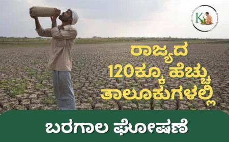 Baragala-ರಾಜ್ಯದ 120ಕ್ಕೂ ಹೆಚ್ಚು ತಾಲೂಕುಗಳಲ್ಲಿ ಬರಗಾಲ ಘೋಷಣೆ!