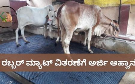 Cow Mat:ರಬ್ಬರ್ ಮ್ಯಾಟ್ ವಿತರಣೆಗೆ ಅರ್ಜಿ ಆಹ್ವಾನ
