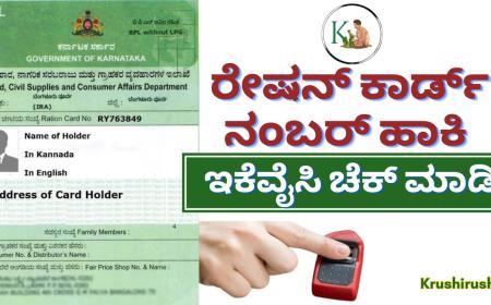 Ration card ekyc last date-ಅಗಸ್ಟ್ 31 ರೊಳಗೆ ಇಕೆವೈಸಿ ಮಾಡದವರ ರೇಷನ್ ಕಾರ್ಡ್ ರದ್ದು,ರೇಷನ್ ಕಾರ್ಡ್ ನಂಬರ್ ಹಾಕಿ ಇಕೆವೈಸಿ ಚೆಕ್ ಮಾಡಿ