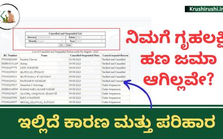 Gruhalakshmi amount not deposited-ಇಂದು ಗೃಹಲಕ್ಷ್ಮಿ ಹಣ ಜಮಾ ಆಗಿಲ್ಲವೇ? ಇಲ್ಲಿದೆ ಕಾರಣ ಮತ್ತು ಪರಿಹಾರ