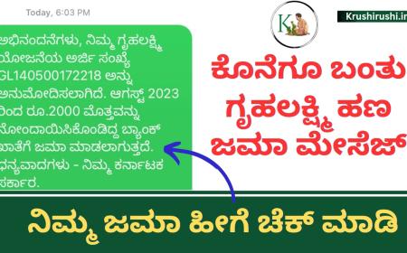 Gruhalakshmi amount message-ಕೊನೆಗೂ ನನಗೆ ಬಂತು ಗೃಹಲಕ್ಷ್ಮಿ ಹಣ ಮೇಸೆಜ್,ಹೀಗೆ ಚೆಕ್ ಮಾಡಿ ನಿಮ್ಮ ಜಮಾ