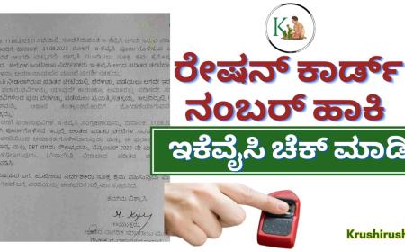 Ration card ekyc-ರೇಷನ್ ಕಾರ್ಡ್ ಇಕೆವೈಸಿಗೆ ಇಂದು ಕೊನೆಯ ದಿನಾಂಕ,ನಿಮ್ಮ ಇಕೆವೈಸಿ ಸ್ಟೇಟಸ್ ಚೆಕ್ ಮಾಡಿ