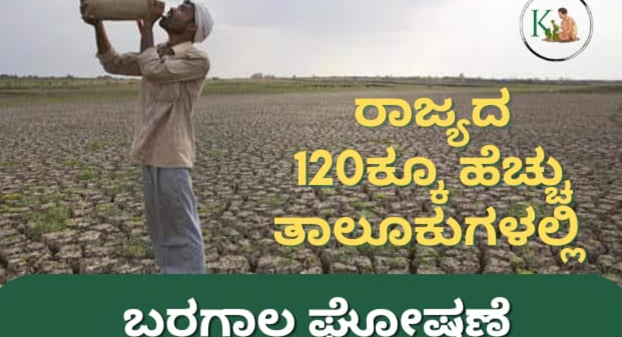 Baragala-ರಾಜ್ಯದ 120ಕ್ಕೂ ಹೆಚ್ಚು ತಾಲೂಕುಗಳಲ್ಲಿ ಬರಗಾಲ ಘೋಷಣೆ! - Krushi Rushi ...