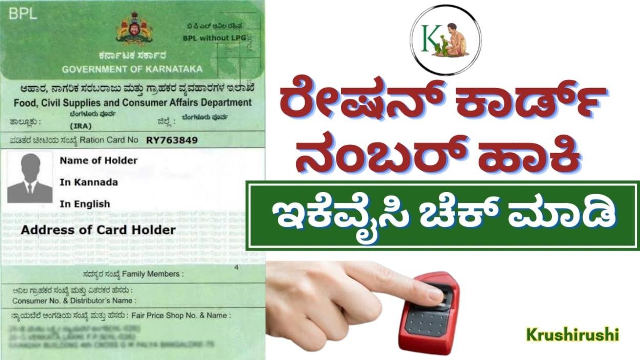 Ration card ekyc last date-ಅಗಸ್ಟ್ 31 ರೊಳಗೆ ಇಕೆವೈಸಿ ಮಾಡದವರ ರೇಷನ್ ಕಾರ್ಡ್ ರದ್ದು,ರೇಷನ್ ಕಾರ್ಡ್ ನಂಬರ್ ಹಾಕಿ ಇಕೆವೈಸಿ ಚೆಕ್ ಮಾಡಿ