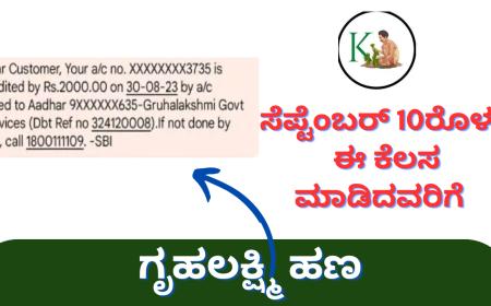 Gruhalakshmi update-ಸೆಪ್ಟೆಂಬರ್ 10ರೊಳಗೆ ಈ ಕೆಲಸ ಮಾಡಿದವರಿಗೆ ಗೃಹಲಕ್ಷ್ಮಿ ಹಣ