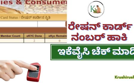 Ration card ekyc-ರೇಷನ್ ಕಾರ್ಡ್ ಇಕೆವೈಸಿಗೆ ಸೆಪ್ಪೆಂಬರ್  10 ಕೊನೆಯ ದಿನಾಂಕ