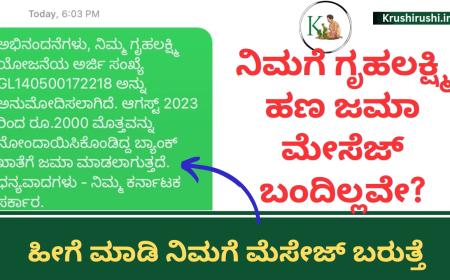 Gruhalakshmi Message-ನಿಮಗೆ ಗೃಹಲಕ್ಷ್ಮಿ ಹಣ ಜಮಾ ಮೇಸೆಜ್ ಬಂದಿಲ್ಲವೇ,ಹಾಗಾದರೆ ಹೀಗೆ ಚೆಕ್ ಮಾಡಿ