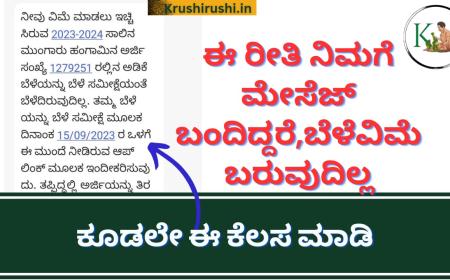 Crop insurance message-ಈ ರೀತಿ ನಿಮಗೆ ಮೇಸೆಜ್ ಬಂದಿದ್ದರೆ,ನಿಮಗೆ ಬೆಳೆವಿಮೆ ಬರುವುದಿಲ್ಲ,ಕೂಡಲೇ ಈ ಕೆಲಸ ಮಾಡಿ