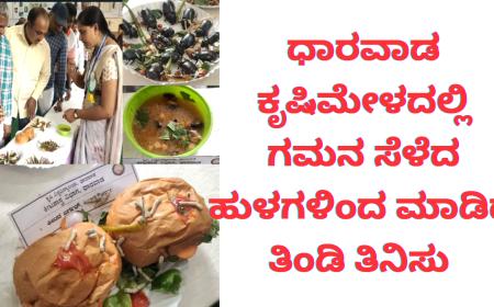 Insect food-ಧಾರವಾಡ ಕೃಷಿಮೇಳದಲ್ಲಿ ಗಮನಸೆಳೆದ ಹುಳಗಳಿಂದ ಮಾಡಿದ ತಿಂಡಿತಿನಿಸು