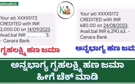Gruhalakshmi Annabhagya-ಗೃಹಲಕ್ಷ್ಮಿ ಹಾಗೂ ಅನ್ನಭಾಗ್ಯ ಹಣ ಜಮಾ ಹೀಗೆ ಚೆಕ್ ಮಾಡಿ
