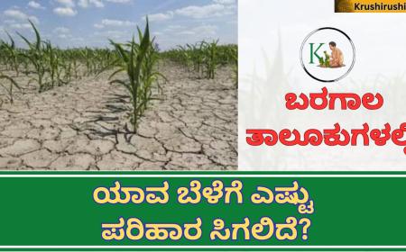 Baragala parihara-ಬರಗಾಲ ತಾಲೂಕುಗಳಲ್ಲಿ ಯಾವ ಬೆಳೆಗೆ ಎಷ್ಟು ಪರಿಹಾರ ಸಿಗಲಿದೆ? ಹೀಗೆ ಚೆಕ್ ಮಾಡಿ