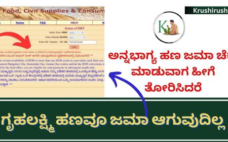 Annabhagya Gruhalakshmi-ಅನ್ನಭಾಗ್ಯ ಹಣ ಜಮಾ ಚೆಕ್ ಮಾಡುವಾಗ ಹೀಗೆ ತೋರಿಸಿದರೆ,ಗೃಹಲಕ್ಷ್ಮಿ ಹಣವೂ ಜಮಾ ಆಗುವುದಿಲ್ಲ