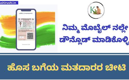 Voter ID- ನಿಮ್ಮ ಮೊಬೈಲ್ ನಲ್ಲೇ ಡೌನ್ಲೊಡ್ ಮಾಡಿಕೊಳ್ಳಿ ಹೊಸ ಬಗೆಯ ಮತದಾರರ ಚೀಟಿ