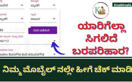 Baraparihara-ಯಾರಿಗೆಲ್ಲಾ ಸಿಗಲಿದೆ ಬರಪರಿಹಾರ? ನಿಮ್ಮ ಮೊಬೈಲ್ ನಲ್ಲೇ ಹೀಗೆ ಚೆಕ್ ಮಾಡಿ