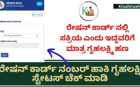 Ration card status-ರೇಷನ್ ಕಾರ್ಡ್ ನಲ್ಲಿ ಸಕ್ರಿಯ ಎಂದು ಇದ್ದವರಿಗೆ ಮಾತ್ರ ಗೃಹಲಕ್ಷ್ಮಿ ಹಣ,ನಿಮ್ಮ ಸ್ಟೇಟಸ್ ಹೀಗೆ ಚೆಕ್ ಮಾಡಿ