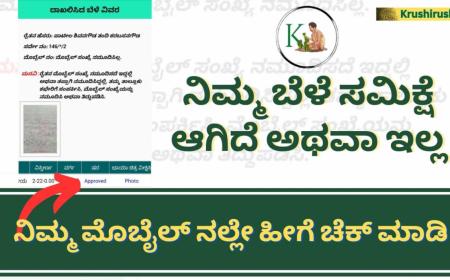 Bele samikshe-ಬೆಳೆಸಮಿಕ್ಷೆಗೆ ಸೆಪ್ಟೆಂಬರ್ 30 ಕೊನೆಯ ದಿನಾಂಕ,ಬೆಳೆಸಮಿಕ್ಷೆ ಸರಿಯಾಗಿ ಆದ ಬೆಳೆಗಳಿಗೆ ಸಿಗಲಿದೆ ಬೆಳೆಹಾನಿ,ಬೆಳೆವಿಮೆ ಪರಿಹಾರ,ನಿಮ್ಮ ಬೆಳೆಸಮಿಕ್ಷೆ ಸರಿಯಾಗಿರುವುದನ್ನು ಹೀಗೆ ಚೆಕ್ ಮಾಡಿ