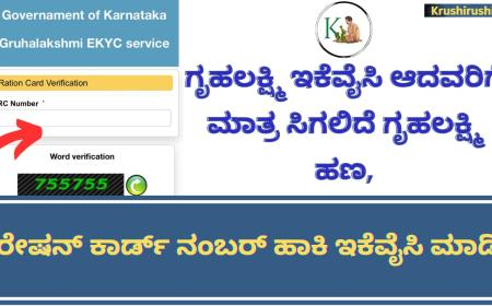 Gruhalakshmi ekyc-ಗೃಹಲಕ್ಷ್ಮಿ ಇಕೆವೈಸಿ ಆದವರಿಗೆ ಮಾತ್ರ ಸಿಗಲಿದೆ ಗೃಹಲಕ್ಷ್ಮಿ ಹಣ,ರೇಷನ್ ಕಾರ್ಡ್ ನಂಬರ್ ಹಾಕಿ ಇಕೆವೈಸಿ ಮಾಡಿ