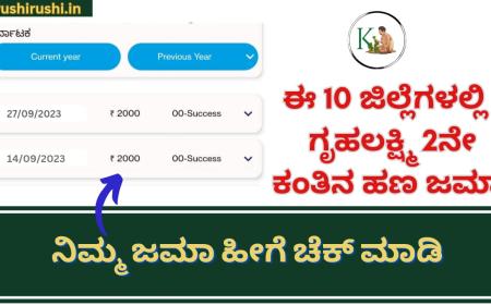 Gruhalakshmi 2nd instalment-ಈ 10 ಜಿಲ್ಲೆಗಳಲ್ಲಿ ಗೃಹಲಕ್ಷ್ಮಿ 2ನೇ ಕಂತಿನ ಹಣ ಜಮಾ,ನಿಮ್ಮ ಜಮಾ ಹೀಗೆ ಚೆಕ್ ಮಾಡಿ