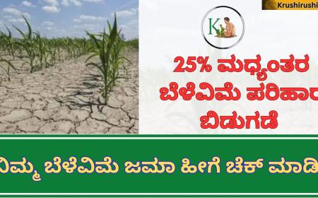 Belevime-25% ಮಧ್ಯಂತರ ಬೆಳೆವಿಮೆ ಪರಿಹಾರ ಬಿಡುಗಡೆ,ನಿಮ್ಮ ಜಮಾ ಹೀಗೆ ಚೆಕ್ ಮಾಡಿ