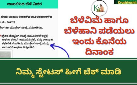 Belehani parihara-ಬೆಳೆವಿಮೆ ಹಾಗೂ ಬೆಳೆಹಾನಿ ಪಡೆಯಲು ಇಂದು ಕೊನೆಯ ದಿನಾಂಕ, ನಿಮ್ಮ ಸ್ಟೇಟಸ್ ಹೀಗೆ ಚೆಕ್ ಮಾಡಿ