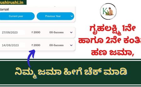 Gruhalakshmi 2nd instalment-80 ಲಕ್ಷ ಗೃಹಿಣಿಯರಿಗೆ 2ನೇ ಕಂತಿನ ಗೃಹಲಕ್ಷ್ಮಿ ಹಣ ಜಮಾ,ನಿಮ್ಮ ಜಮಾ ಹೀಗೆ ಚೆಕ್ ಮಾಡಿ
