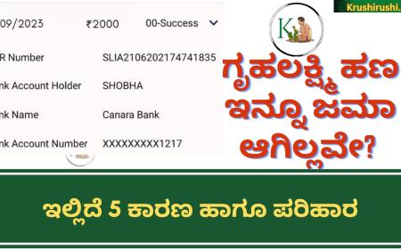 Gruhalakshmi-ಗೃಹಲಕ್ಷ್ಮಿ ಹಣ ಇನ್ನೂ ಜಮಾ ಆಗಿಲ್ಲವೇ? ಇಲ್ಲಿದೆ 5 ಕಾರಣ ಹಾಗೂ ಪರಿಹಾರ