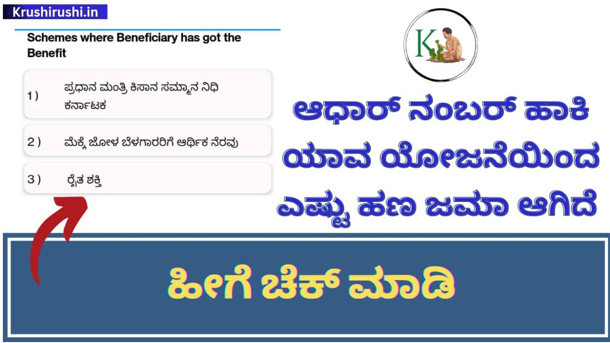 DBT-ಆಧಾರ್ ನಂಬರ್ ಹಾಕಿ ಯಾವ ಯೋಜನೆಯಿಂದ ಎಷ್ಟು ಹಣ ಜಮೆ ಆಗಿದೆ,ನಿಮ್ಮ ಮೊಬೈಲ್ ನಲ್ಲೇ ಹೀಗೆ ಚೆಕ್ ಮಾಡಿ