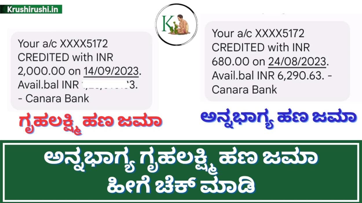 Gruhalakshmi Annabhagya-ಗೃಹಲಕ್ಷ್ಮಿ ಹಾಗೂ ಅನ್ನಭಾಗ್ಯ ಹಣ ಜಮಾ ಹೀಗೆ ಚೆಕ್ ಮಾಡಿ