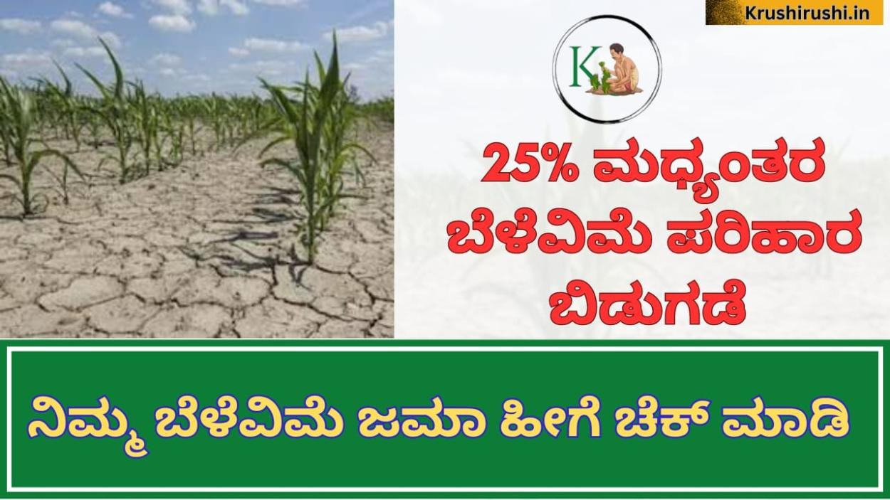 Belevime-25% ಮಧ್ಯಂತರ ಬೆಳೆವಿಮೆ ಪರಿಹಾರ ಬಿಡುಗಡೆ,ನಿಮ್ಮ ಜಮಾ ಹೀಗೆ ಚೆಕ್ ಮಾಡಿ