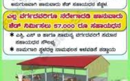 Cattle shed-ದನದ ಶೆಡ್ ನಿರ್ಮಾಣಕ್ಕೆ 57,000 ರೂಪಾಯಿ ಸಹಾಯಧನ