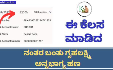 Gruhalakshmi Annabhagya amount-ಈ ಕೆಲಸ ಮಾಡಿದ ನಂತರ ಬಂತು ಗೃಹಲಕ್ಷ್ಮಿ ಅನ್ನಭಾಗ್ಯ ಹಣ