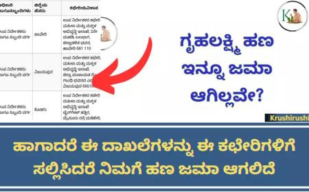 Gruhalakshmi Contact office-ಗೃಹಲಕ್ಷ್ಮಿ ಹಣ ಇನ್ನೂ ಜಮಾ ಆಗಿಲ್ಲವೇ?, ಹಾಗಾದರೆ ಈ ದಾಖಲೆಗಳನ್ನು ಈ ಕಛೇರಿಗಳಿಗೆ ಸಲ್ಲಿಸಿದರೆ ನಿಮಗೆ ಹಣ ಜಮಾ ಆಗಲಿದೆ