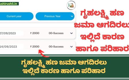 Gruhalakshmi update-ಗೃಹಲಕ್ಷ್ಮಿ ಹಣ ಜಮಾ ಆಗದಿರಲು ಇಲ್ಲಿದೆ ಕಾರಣ ಹಾಗೂ ಪರಿಹಾರ,ಹೀಗೆ ಮಾಡಿ ಒಟ್ಟಿಗೆ ಬರಲಿದೆ 2ಕಂತಿನ 4000 ರೂಪಾಯಿ