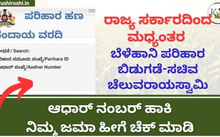 Mid season crop loss compensation-ರಾಜ್ಯ ಸರ್ಕಾರದಿಂದ ಮಧ್ಯಂತರ ಬೆಳೆಹಾನಿ ಪರಿಹಾರ ಬಿಡುಗಡೆ-ಕೃಷಿ ಸಚಿವ ಚೆಲುವರಾಯಸ್ವಾಮಿ, ಆಧಾರ್ ನಂಬರ್ ಹಾಕಿ ಬೆಳೆಹಾನಿ ಪರಿಹಾರ ಹೀಗೆ ಚೆಕ್ ಮಾಡಿ