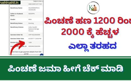 Pension amount status-ಪಿಂಚಣೆ ಹಣ 1200 ರಿಂದ 2000 ಕ್ಕೆ ಹೆಚ್ಚಳ, ಎಲ್ಲಾ ತರಹದ ಪಿಂಚಣೆ ಜಮಾ ಹೀಗೆ ಚೆಕ್ ಮಾಡಿ