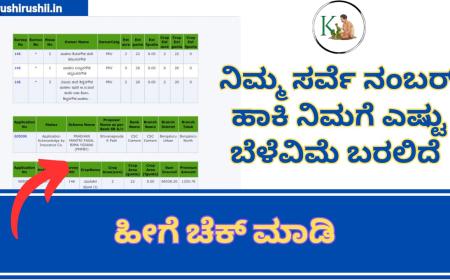 Crop insurance details on survey number-ನಿಮ್ಮ ಸರ್ವೆ ನಂಬರ್ ಹಾಕಿ ನಿಮಗೆ ಎಷ್ಟು ಬೆಳೆವಿಮೆ ಬರಲಿದೆ ಹೀಗೆ ಚೆಕ್ ಮಾಡಿ