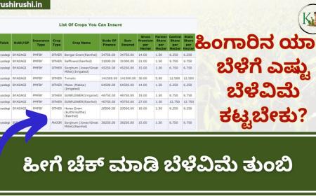 Crop you can insure-ಹಿಂಗಾರಿನ ಯಾವ ಬೆಳೆಗೆ ಎಷ್ಟು ಬೆಳೆವಿಮೆ ತುಂಬಬೇಕು ಹೀಗೆ ಚೆಕ್ ಮಾಡಿ ಬೆಳೆವಿಮೆ ತುಂಬಿ