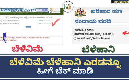 Crop loss and crop insurance-ಬೆಳೆವಿಮೆ ಹಾಗೂ ಬೆಳೆಹಾನಿ ಬೇರೆ ಬೇರೆ, ಎರಡನ್ನೂ ಹೀಗೆ ಚೆಕ್ ಮಾಡಿ