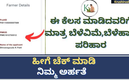 It is compulsory to get crop insurance and crop loss compensation-ಈ ಕೆಲಸ ಮಾಡಿದವರಿಗೆ ಮಾತ್ರ ಬೆಳೆವಿಮೆ,ಬೆಳೆಹಾನಿ ಪರಿಹಾರ,ಹೀಗೆ ಚೆಕ್ ಮಾಡಿ ನಿಮ್ಮ ಅರ್ಹತೆ