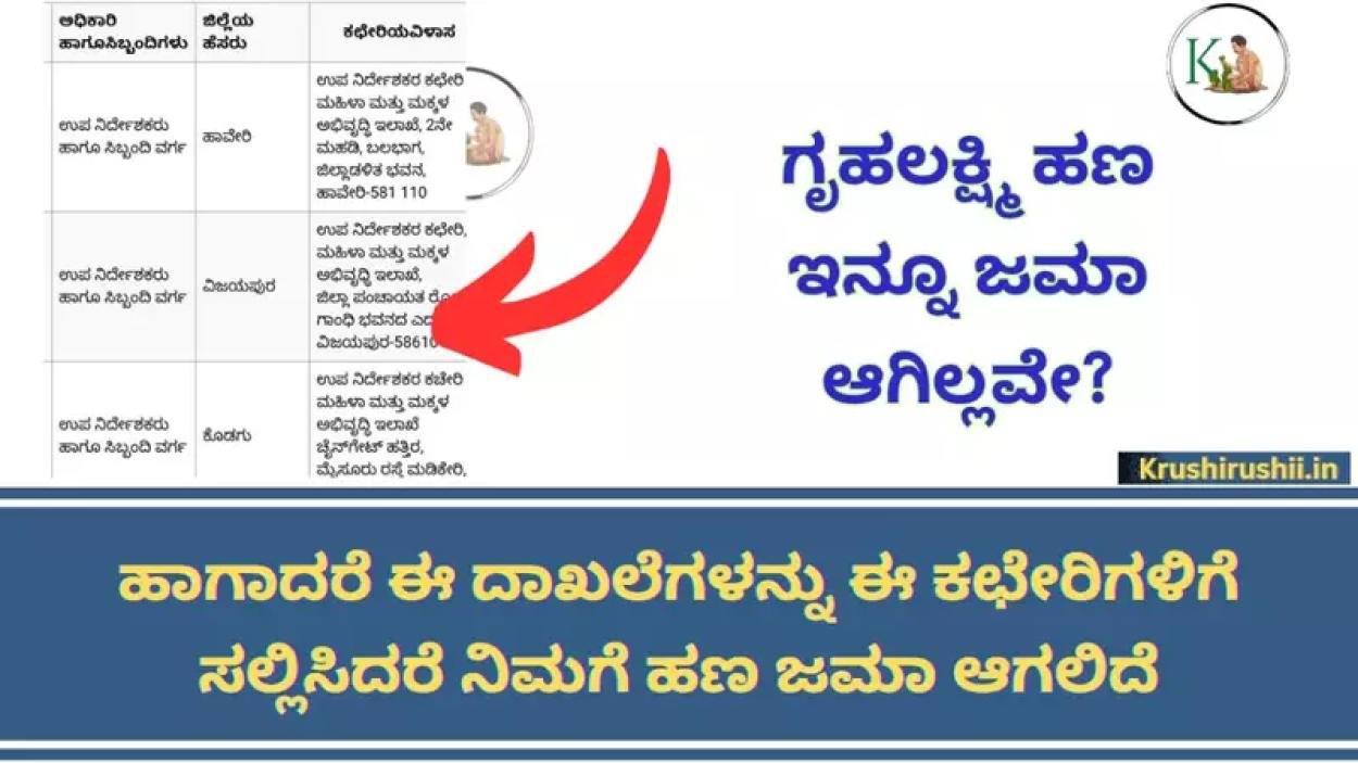 Gruhalakshmi Contact office-ಗೃಹಲಕ್ಷ್ಮಿ ಹಣ ಇನ್ನೂ ಜಮಾ ಆಗಿಲ್ಲವೇ?, ಹಾಗಾದರೆ ಈ ದಾಖಲೆಗಳನ್ನು ಈ ಕಛೇರಿಗಳಿಗೆ ಸಲ್ಲಿಸಿದರೆ ನಿಮಗೆ ಹಣ ಜಮಾ ಆಗಲಿದೆ