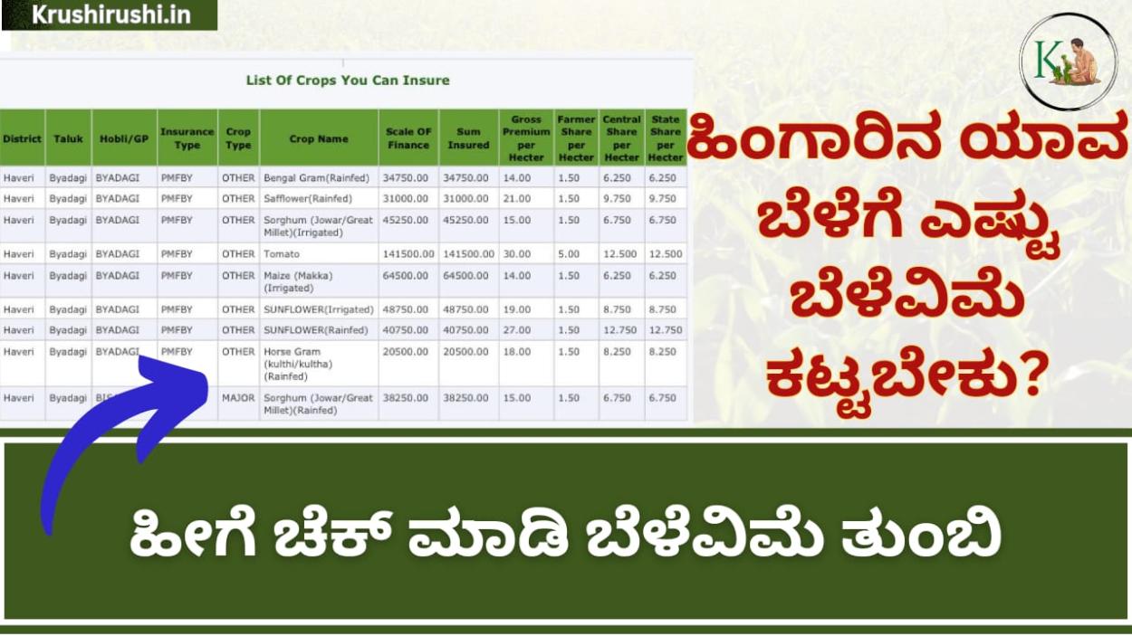 Crop you can insure-ಹಿಂಗಾರಿನ ಯಾವ ಬೆಳೆಗೆ ಎಷ್ಟು ಬೆಳೆವಿಮೆ ತುಂಬಬೇಕು ಹೀಗೆ ಚೆಕ್ ಮಾಡಿ ಬೆಳೆವಿಮೆ ತುಂಬಿ