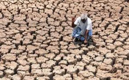 Drought affected-ಬರಗಾಲದಿಂದ ಸಂಕಷ್ಟದಲ್ಲಿರುವ ರೈತರಿಗೆ ರಾಜ್ಯ ಸರ್ಕಾರದಿಂದ ಬಿಗೆ ಶಾಕ್, ಈ ಉಚಿತ ಯೋಜನೆ ರದ್ದು
