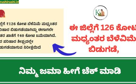 Crop insurance amount released-ಈ ಜಿಲ್ಲೆಗೆ 126 ಕೋಟಿ ಮಧ್ಯಂತರ ಬೆಳೆವಿಮೆ ಬಿಡುಗಡೆ,ನಿಮ್ಮ ಜಮಾ ಹೀಗೆ ಚೆಕ್ ಮಾಡಿ
