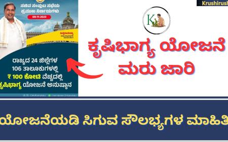 Krushi bhagya Farm pond-ಕೃಷಿಭಾಗ್ಯ ಯೋಜನೆ ಮರು ಜಾರಿ, ಯೋಜನೆಯಡಿ ಸಿಗುವ ಸೌಲಭ್ಯಗಳ ಮಾಹಿತಿ