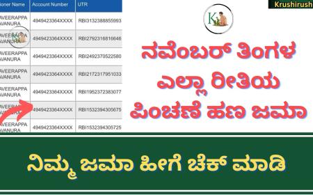November month pension amount-ನವೆಂಬರ್ ತಿಂಗಳ ಎಲ್ಲಾ ರೀತಿಯ ಪಿಂಚಣೆ ಹಣ ಜಮಾ,ನಿಮ್ಮ ಜಮಾ ಹೀಗೆ ಚೆಕ್ ಮಾಡಿ