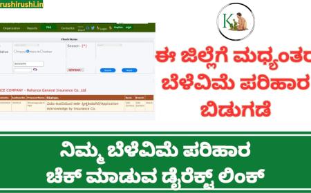 Madyanthara belevime parihara-ಈ ಜಿಲ್ಲೆಗಳ ರೈತರಿಗೆ ಮಧ್ಯಂತರ ಬೆಳೆವಿಮೆ ಪರಿಹಾರ ಬಿಡುಗಡೆ,ನಿಮ್ಮ ಬೆಳೆವಿಮೆ ಪರಿಹಾರ ಚೆಕ್ ಮಾಡುವ ಡೈರೆಕ್ಟ್ ಲಿಂಕ್