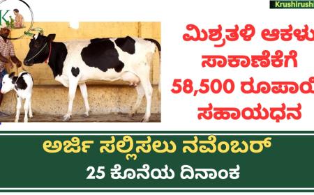 Subsidy for Mix breed cows-ಮಿಶ್ರತಳಿ ಆಕಳು ಸಾಕಾಣೆಕೆಗೆ 58,500 ರೂಪಾಯಿ ಸಹಾಯಧನ, ಅರ್ಜಿ ಸಲ್ಲಿಸಲು ನವೆಂಬರ್ 25 ಕೊನೆಯ ದಿನಾಂಕ