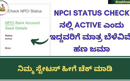 NPCI Status check ನಲ್ಲಿ Active ಎಂದು ಇದ್ದವರಿಗೆ ಮಾತ್ರ ಬೆಳೆವಿಮೆ ಹಣ ಜಮಾ,ನಿಮ್ಮ ಸ್ಟೇಟಸ್ ಚೆಕ್ ಮಾಡುವ ಡೈರೆಕ್ಟ್ ಲಿಂಕ್