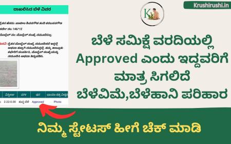 Crop survey status ನಲ್ಲಿ Approved ಎಂದು ಇದ್ದವರಿಗೆ ಮಾತ್ರ ಸಿಗಲಿದೆ ಬೆಳೆವಿಮೆ,ಬೆಳೆಹಾನಿ ಪರಿಹಾರ, ನಿಮ್ಮ ಸ್ಟೇಟಸ್ ಹೀಗೆ ಚೆಕ್ ಮಾಡಿ